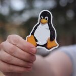 a person holding black and yellow penguin sticker